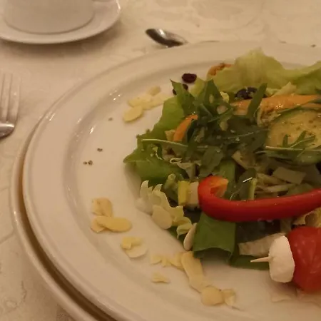 Hotel Hotel Palacowy *